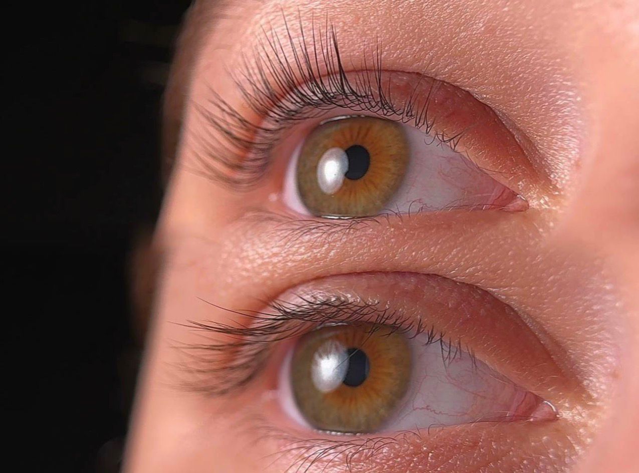 LashLift Coréen