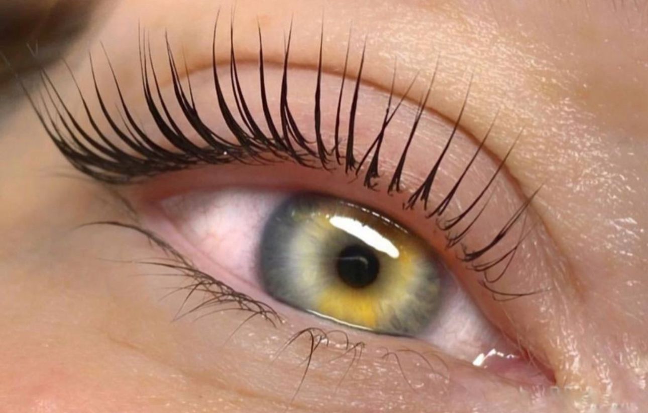 LashLift Niveau 1